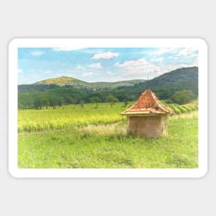 A Vineyard In Languedoc Sticker